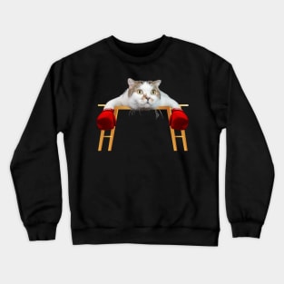 funny boxer Cat, Cat tired after boxing match, funny memes Crewneck Sweatshirt